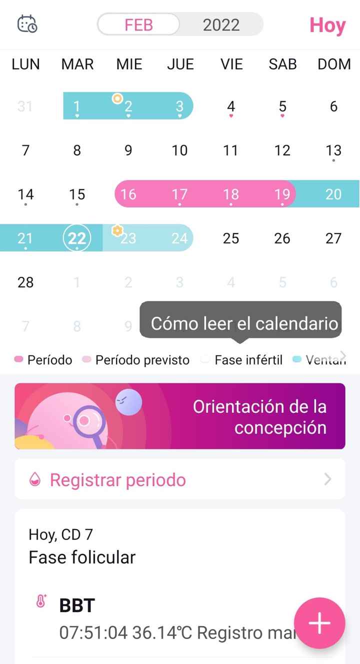 buscadoras febrero 2022 - 2