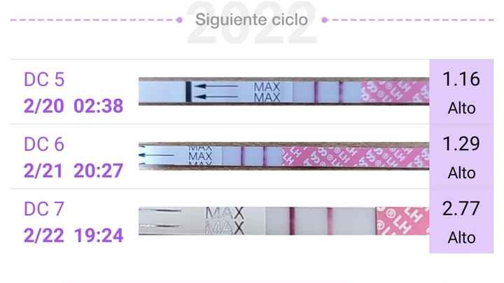 buscadoras febrero 2022 - 1
