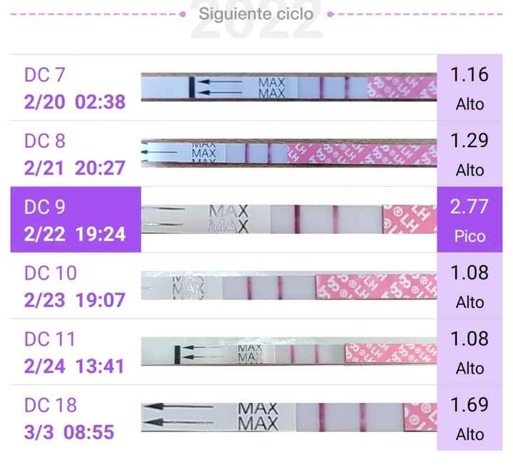 Buscadoras marzo 2022 - 3