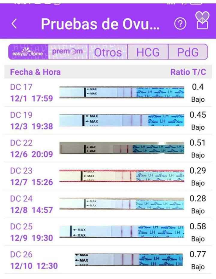 Buscadoras Febrero 2023 🤞🏻✨ - 3