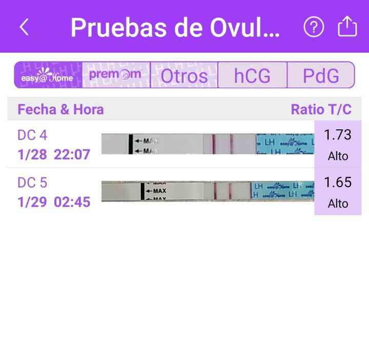 Buscadoras Febrero 2023 🤞🏻✨ - 1