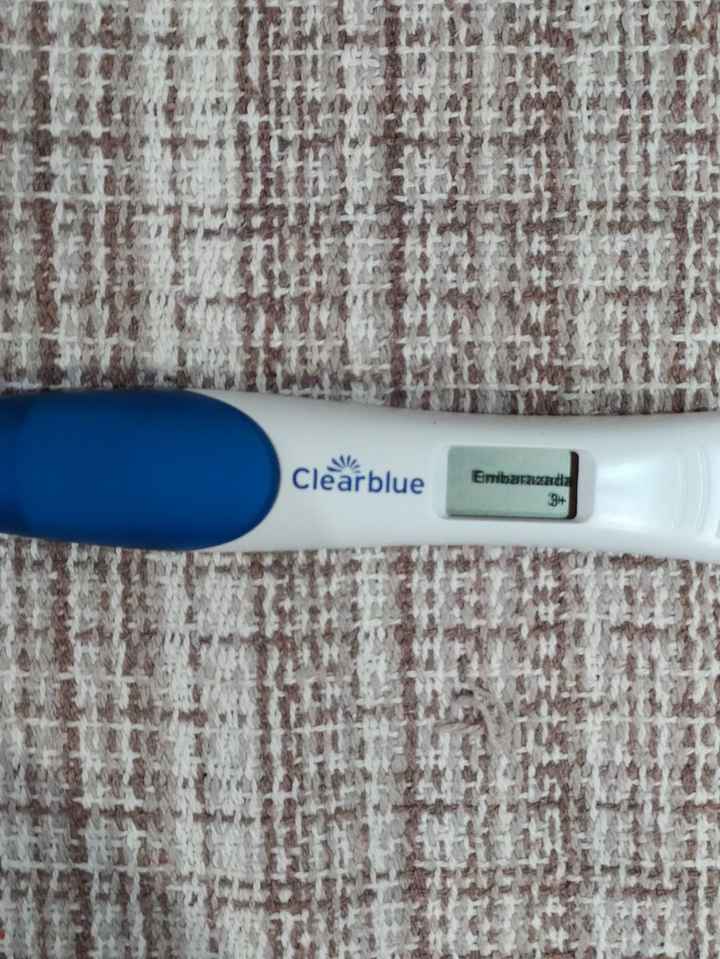 Buscadoras Febrero 2023 🤞🏻✨ - 2