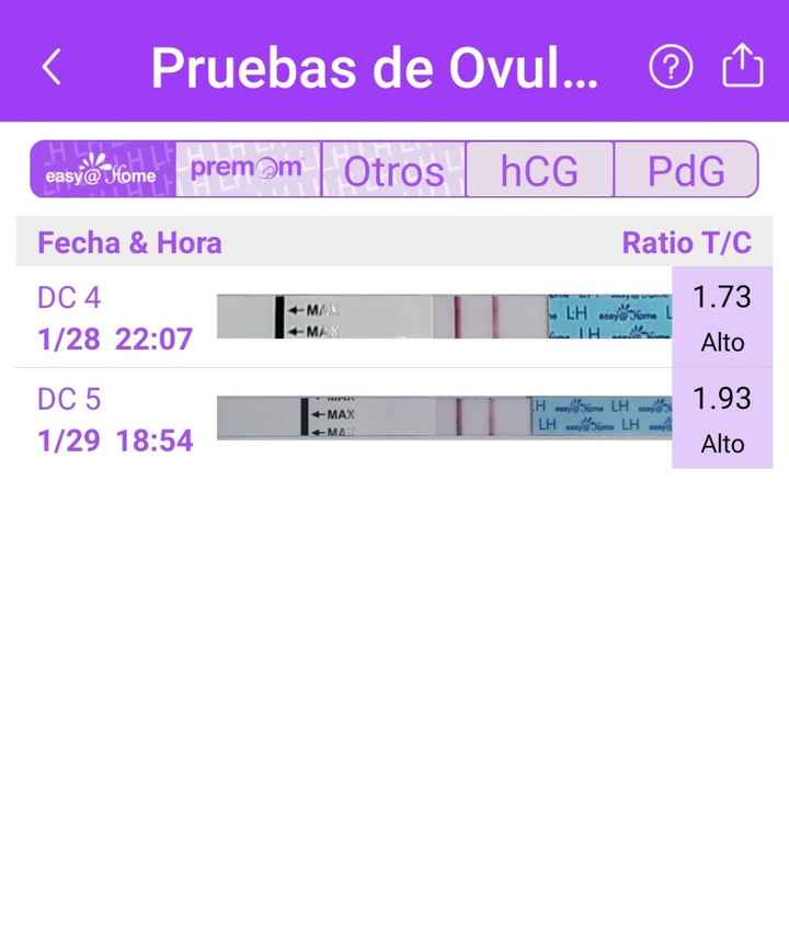 Buscadoras Febrero 2023 🤞🏻✨ - 2