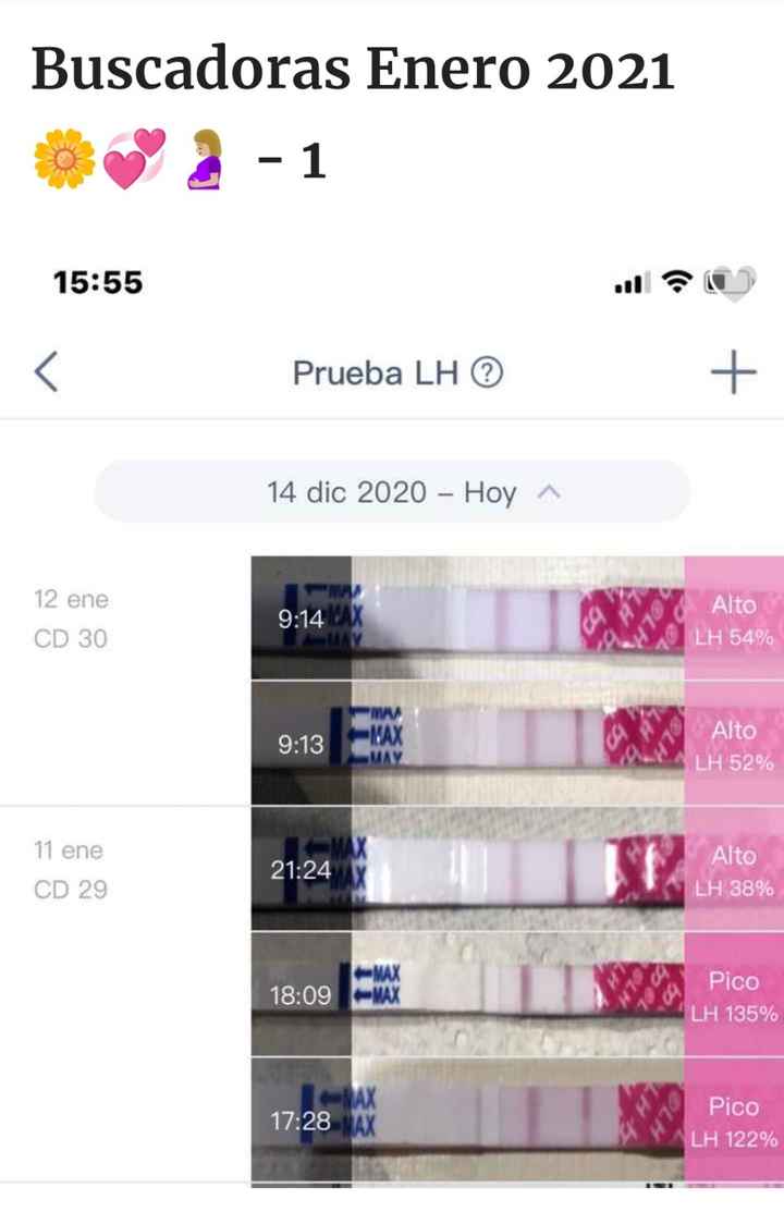 Buscadoras Febrero 2023 🤞🏻✨ - 3