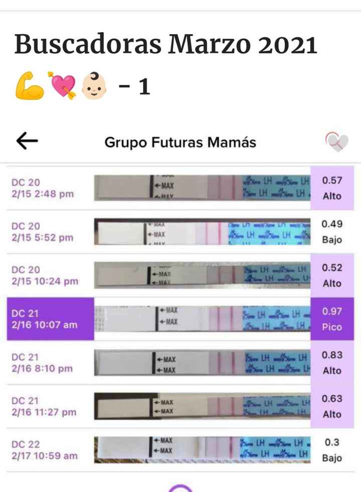 Buscadoras Febrero 2023 🤞🏻✨ - 9