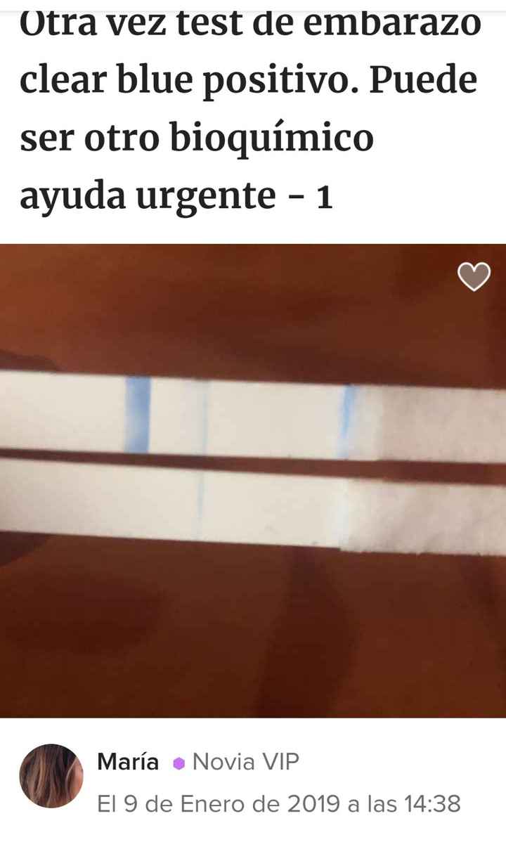 Buscadoras Febrero 2023 🤞🏻✨ - 1