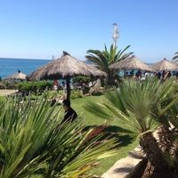 El aperitivo