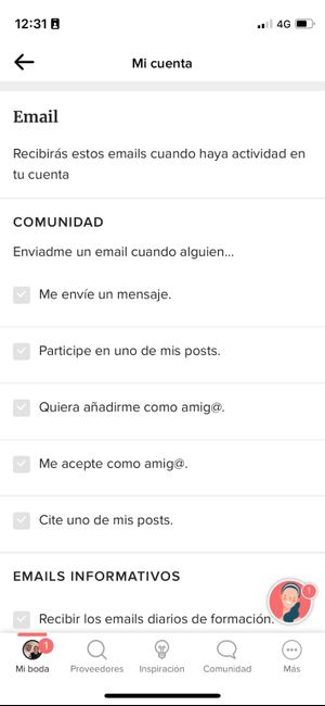 Notificaciones por email 2