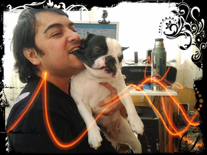 Mis perritos :-)