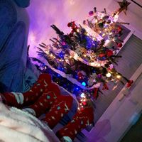 ¿Soléis decorar vuestra casa con adornos navideños? - 1