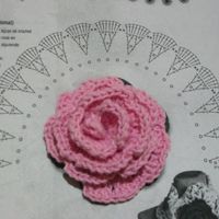 rosa flamenca