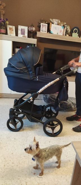 Futuras mamas octubre 2020 - 1