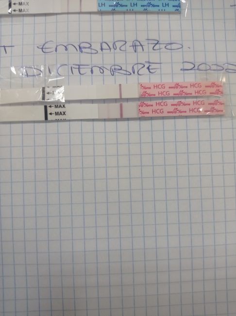 Buscadoras Diciembre 2022 1