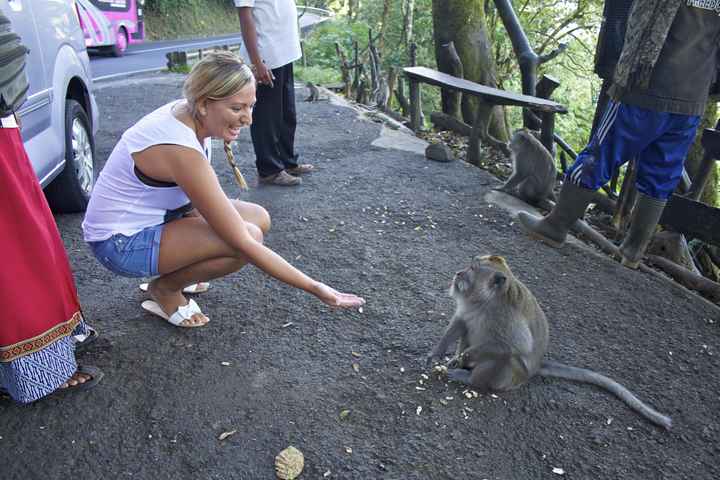 DANDO DE COMER A LOS MONOS