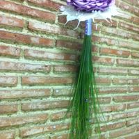 Mi ramo