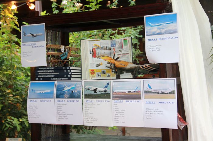 Meseros aviones
