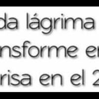 Nuevo año 2015