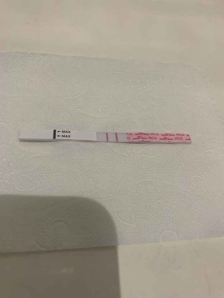 Aborto diferido💔 - 1