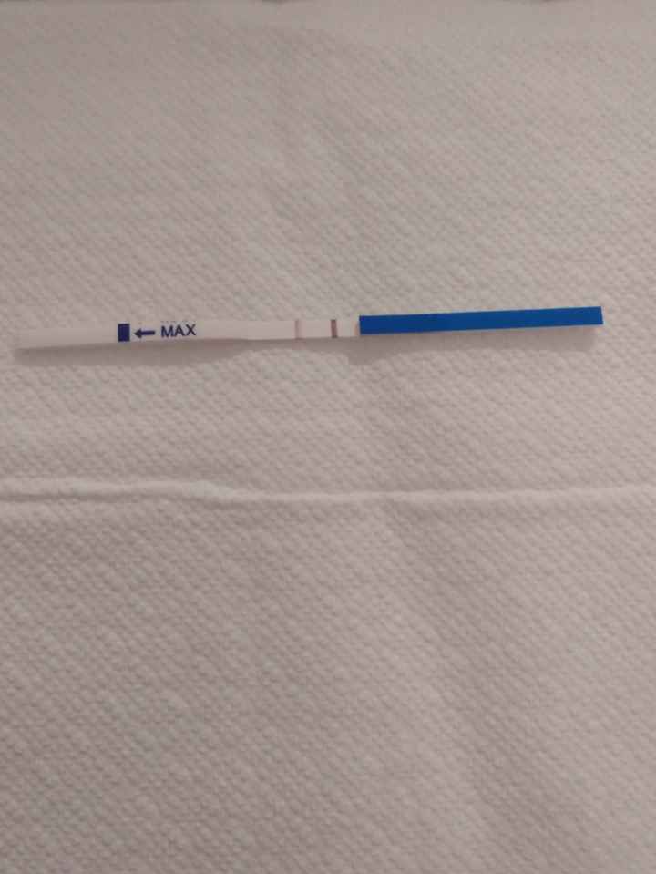 👶❤ Buscadoras Julio 2021 ❤👶 - 1