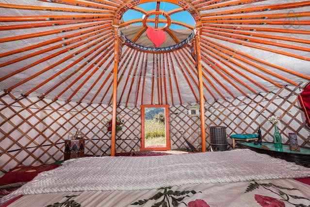 Mongolian Yurta Airbnb