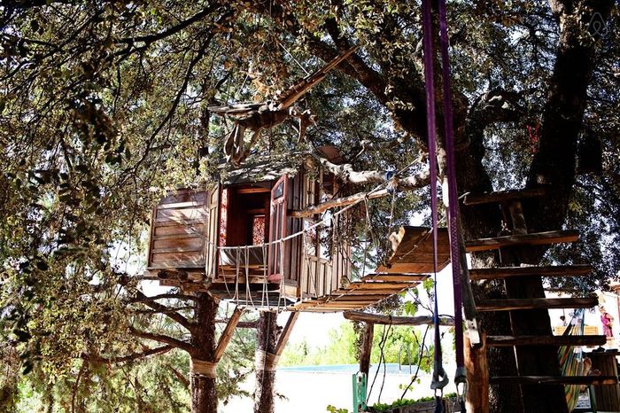 Casa del árbol Airbnb
