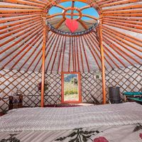 Mongolian Yurta Airbnb