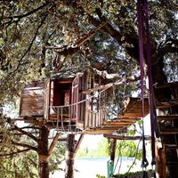 Casa del árbol Airbnb