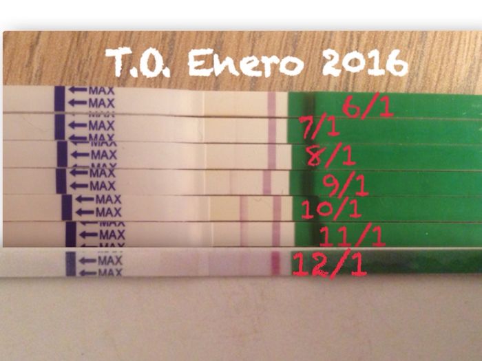 Resuelvo dudas sobre los to (test de ovulacion) - 1