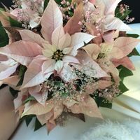ramo de novia flores de pascua