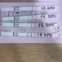 Buscadoras Febrero 2023 🤞🏻✨ - 1