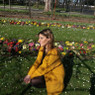 Lorena