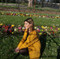 Lorena