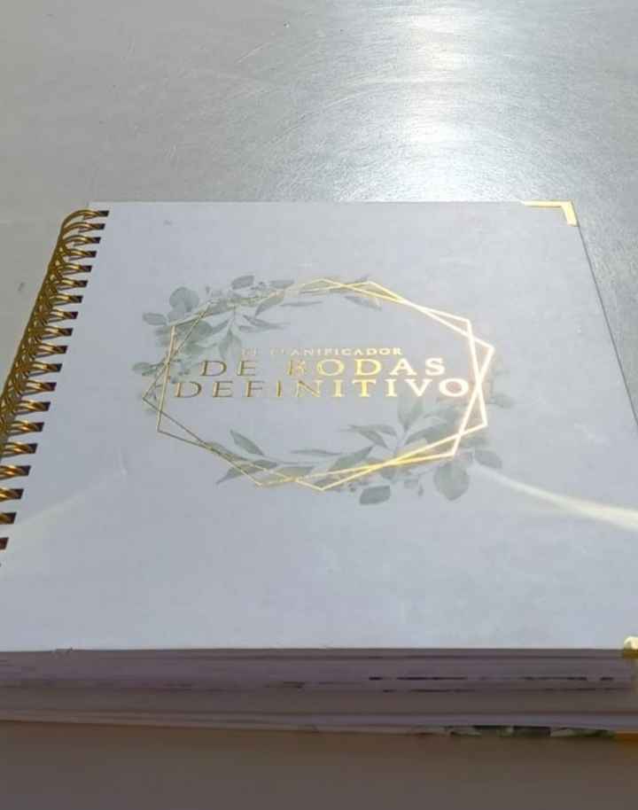 Organizador - 1