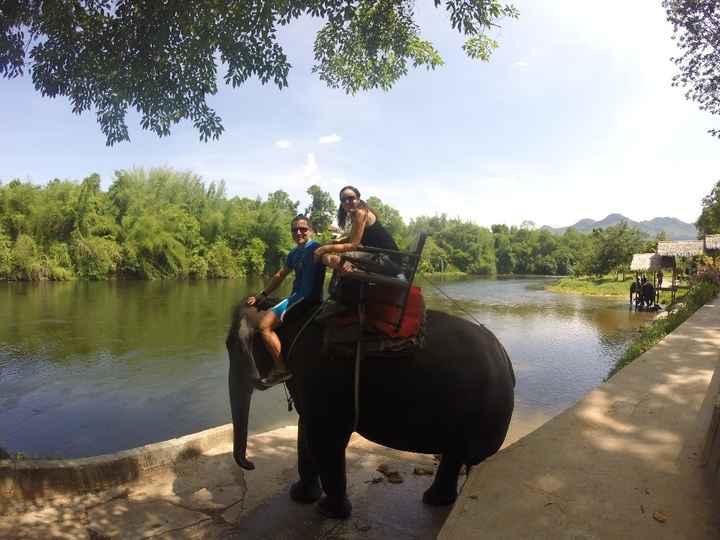 Paseo elefante