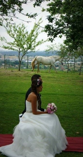 con el caballo