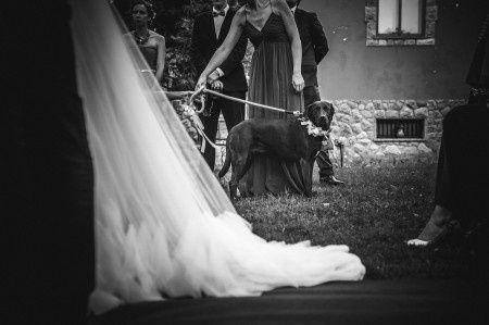 Maca durante la ceremonia