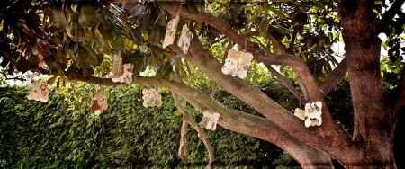 el árbol de los cuentos
