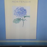 Nombre de las mesas - 1