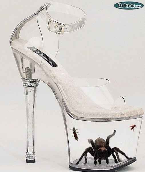 Zapatos 7