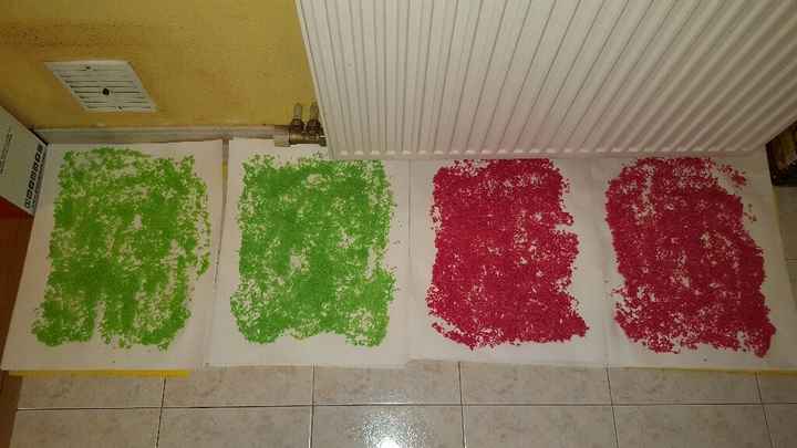 Arroz de colores! - 12