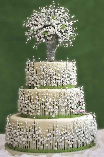 Tarta25