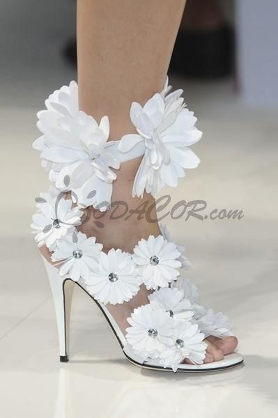 Zapatos 5