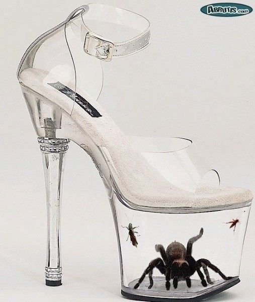 Zapatos 7