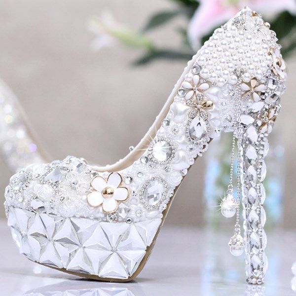 Zapatos 19