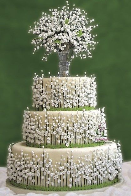 Tarta25