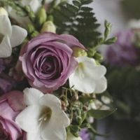 Ramo violeta - 1