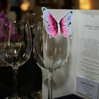  Mariposas y alfileres! - 1
