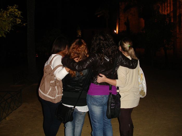 traseras 