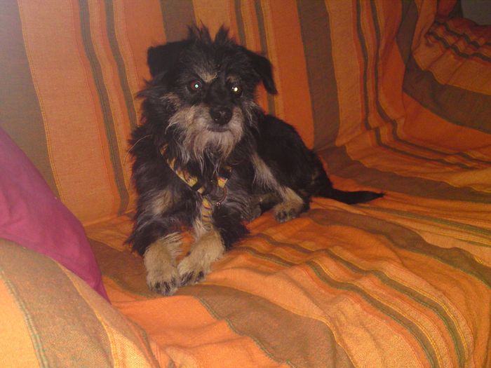 mi coco