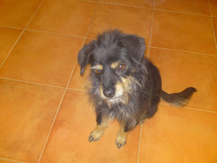 mi coco